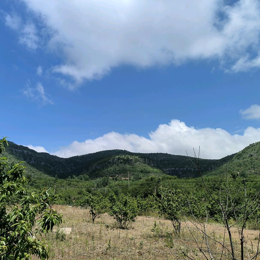 贝贝主席竹纤维餐具