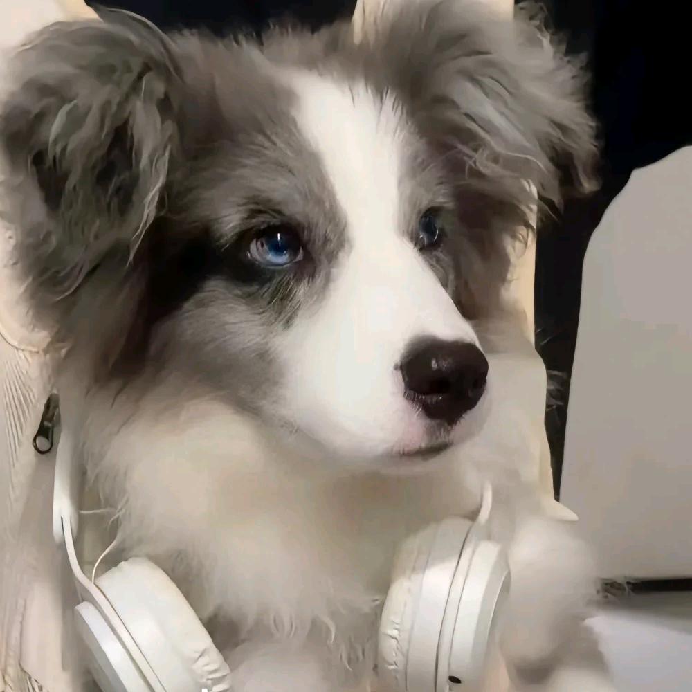 一中游泳馆薇薇呀