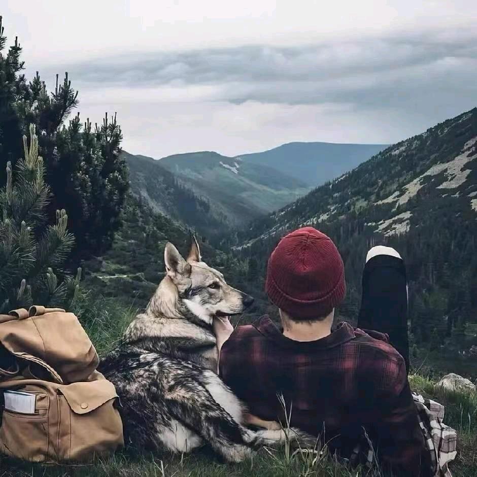 ༺࿅༼忘我༽࿄༻