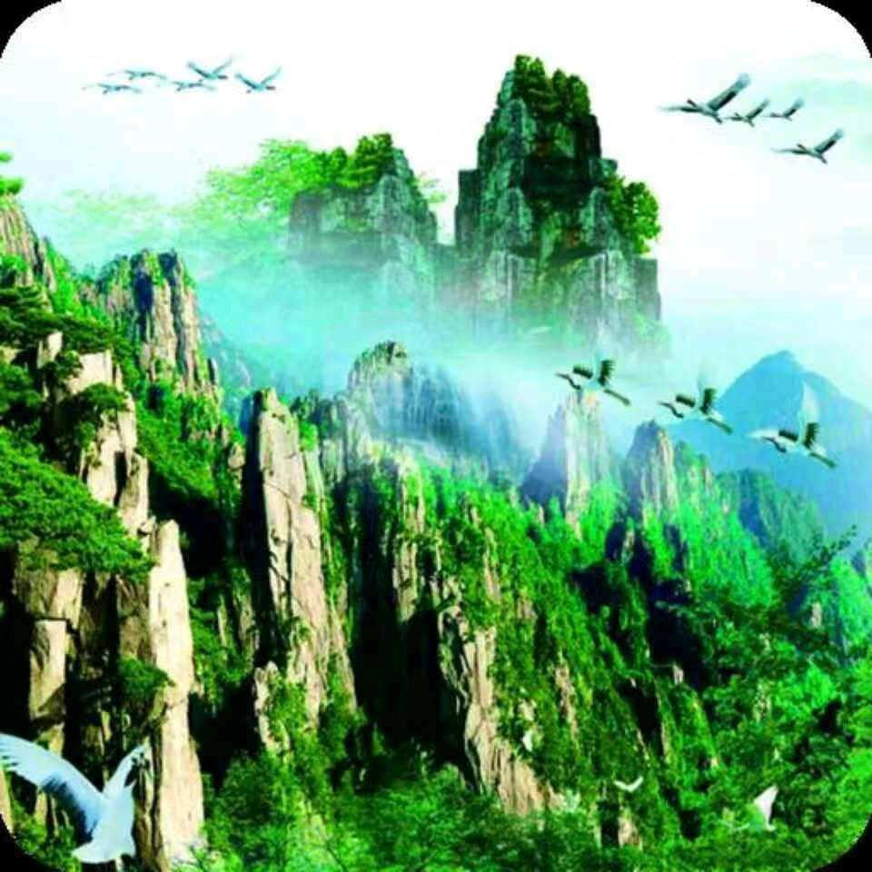 奶哥