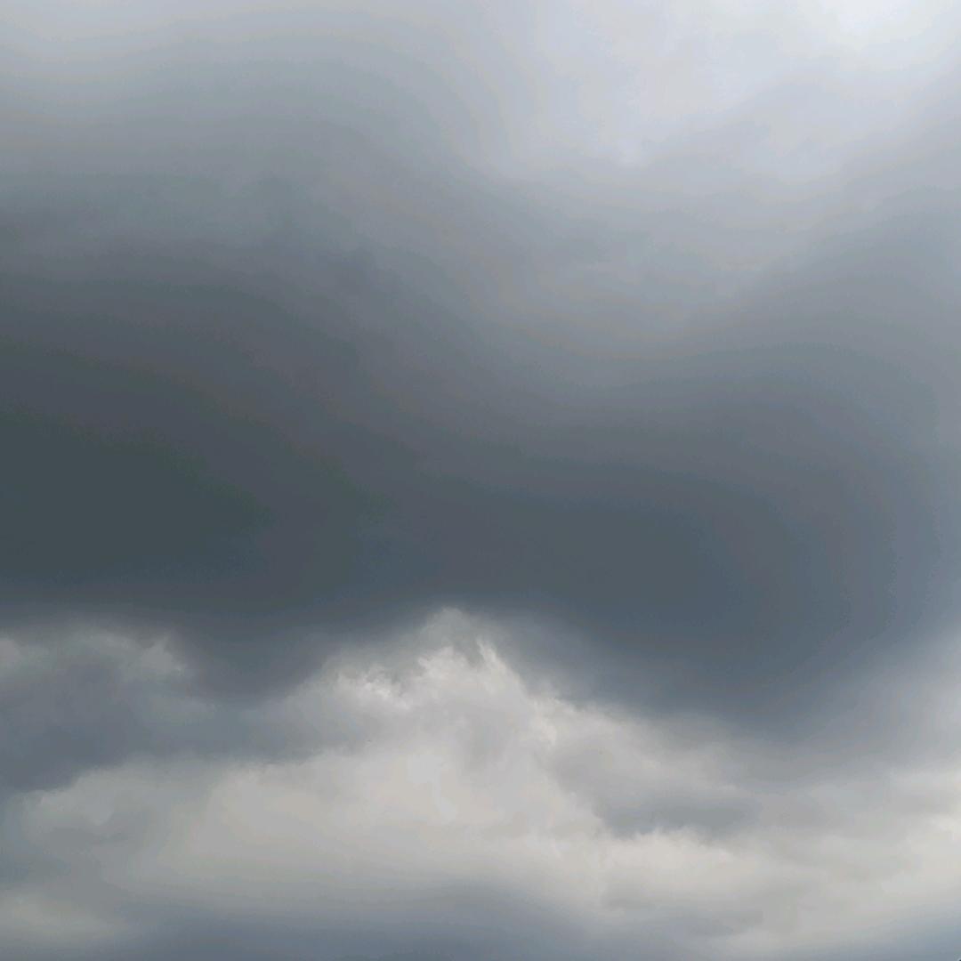 海棠花