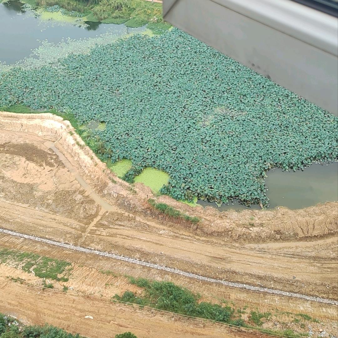 养生人《金建兵》