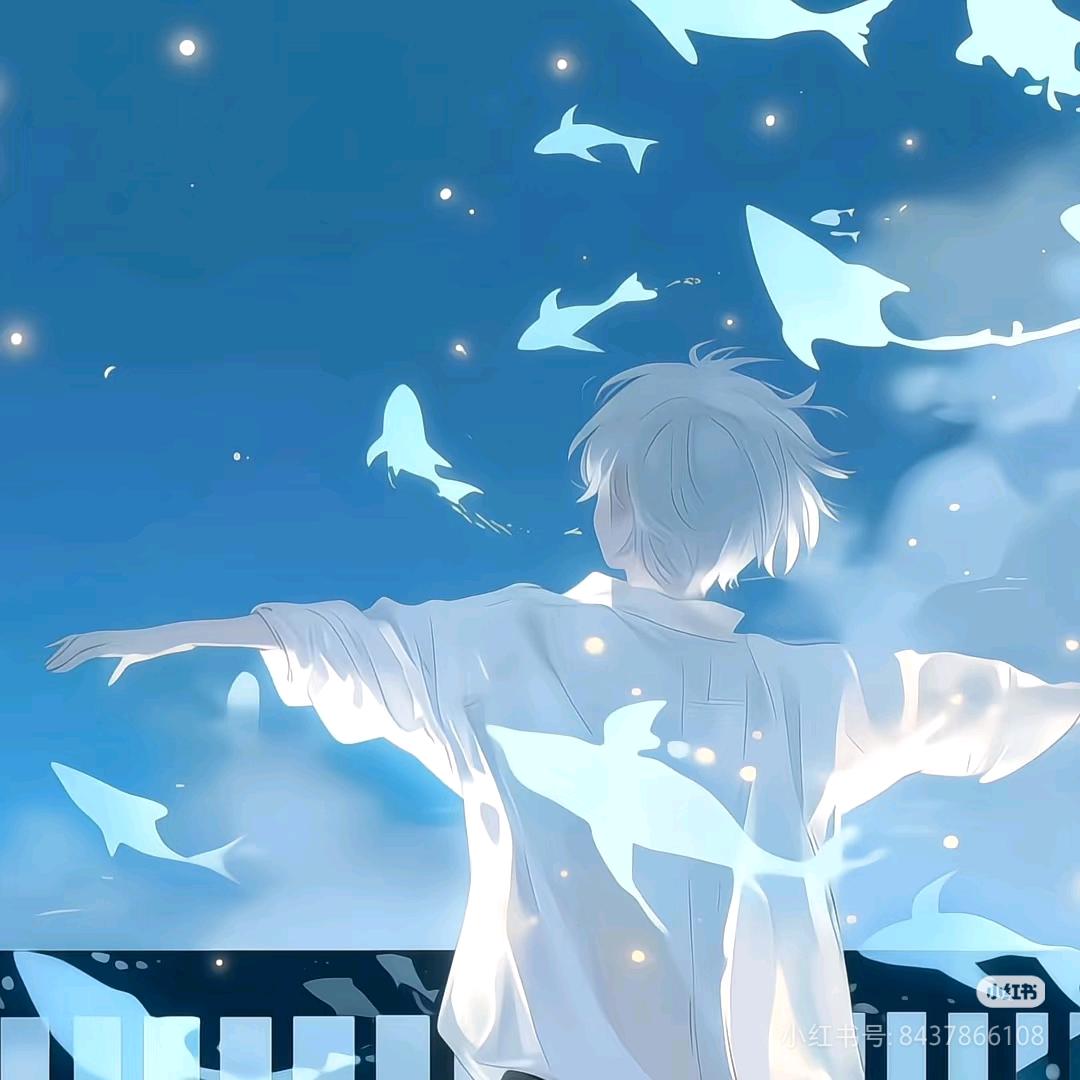 小阳（无畏契约手游)