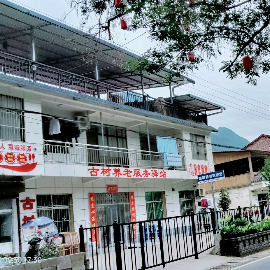 古树养老驿站
