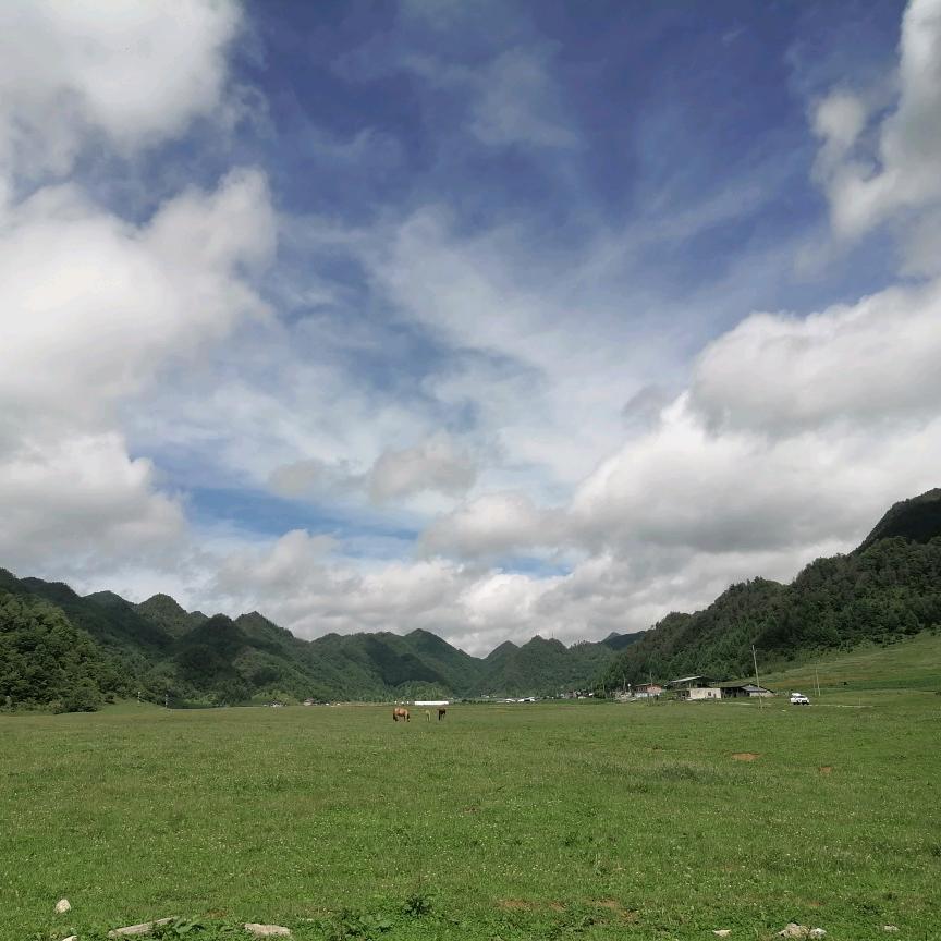 ⁺✞ʚ 莫卡卡重度依赖ɞ✟₊