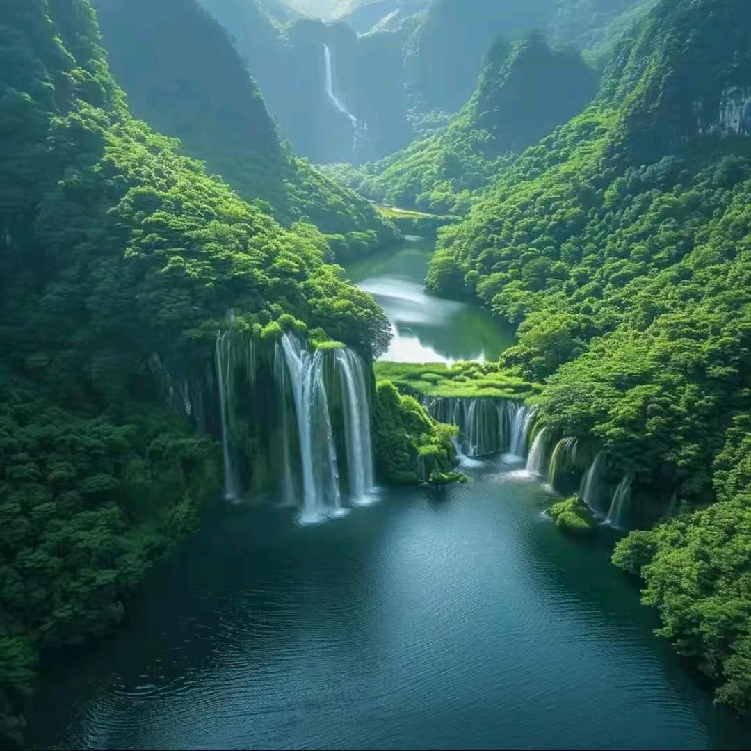 自然123