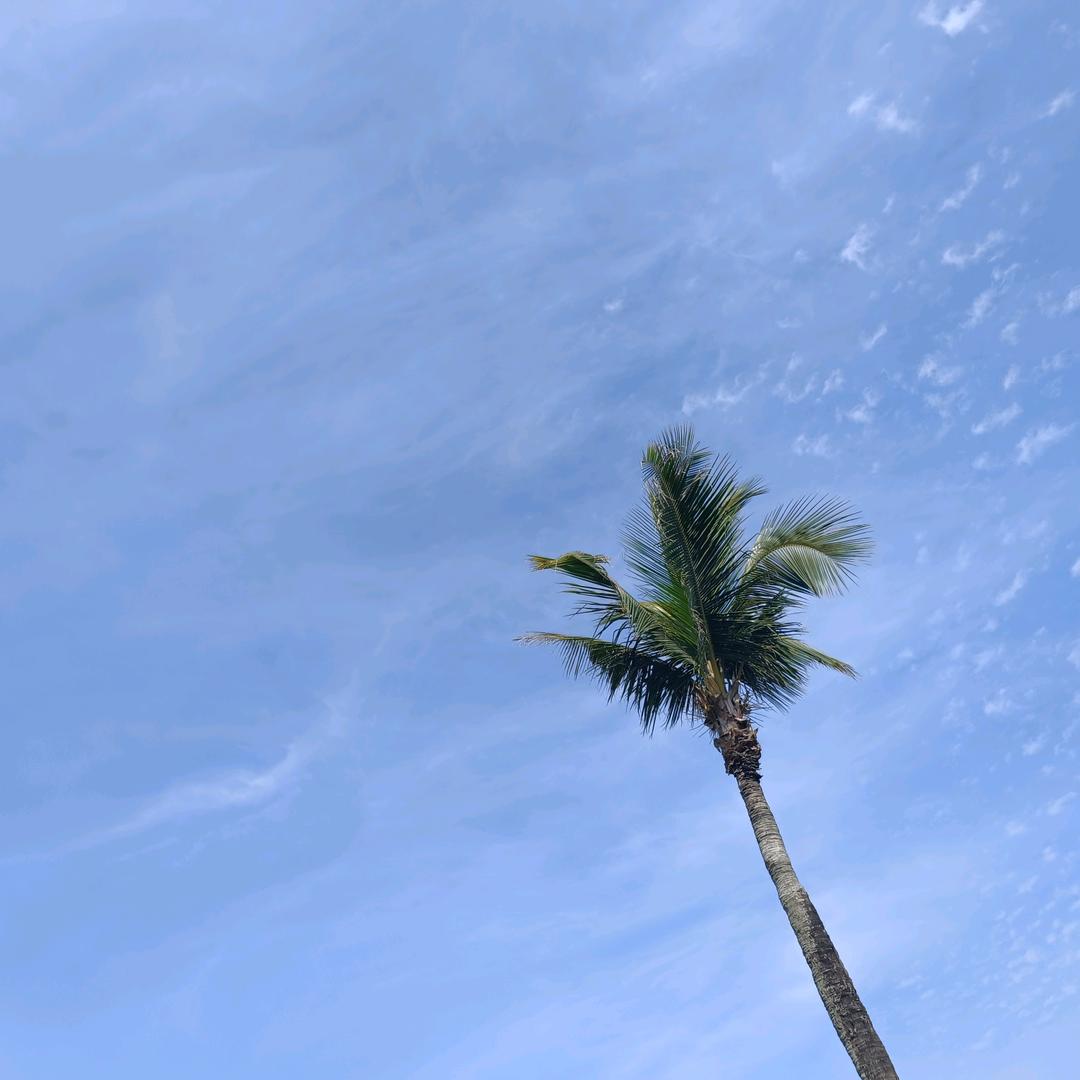ꦿ໊余生᭄🕊随心᭄ꦿᩚ٭