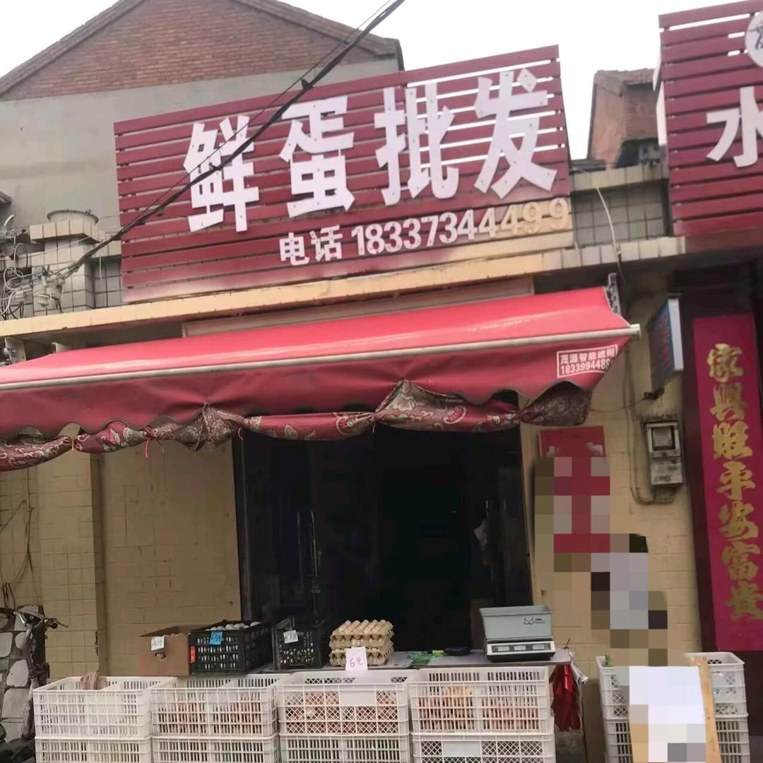 新乡市牧野区卫北鲜蛋批发行