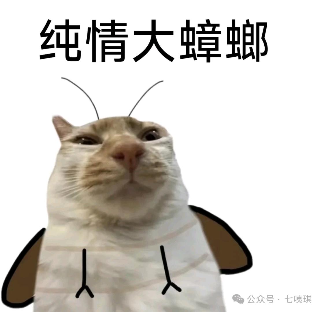 性感母蟑螂