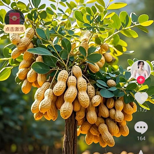 为你独战天下