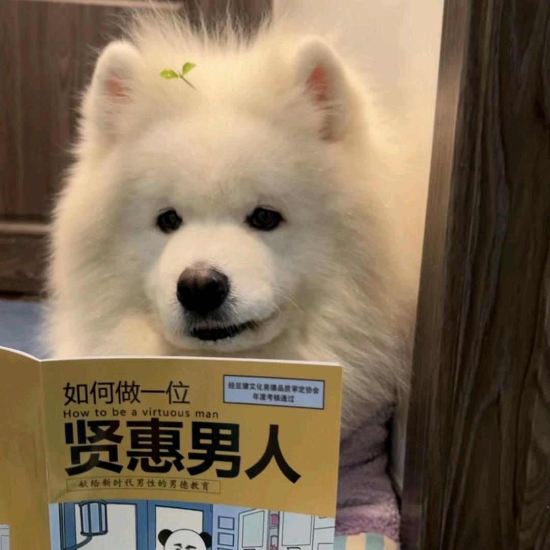 话说