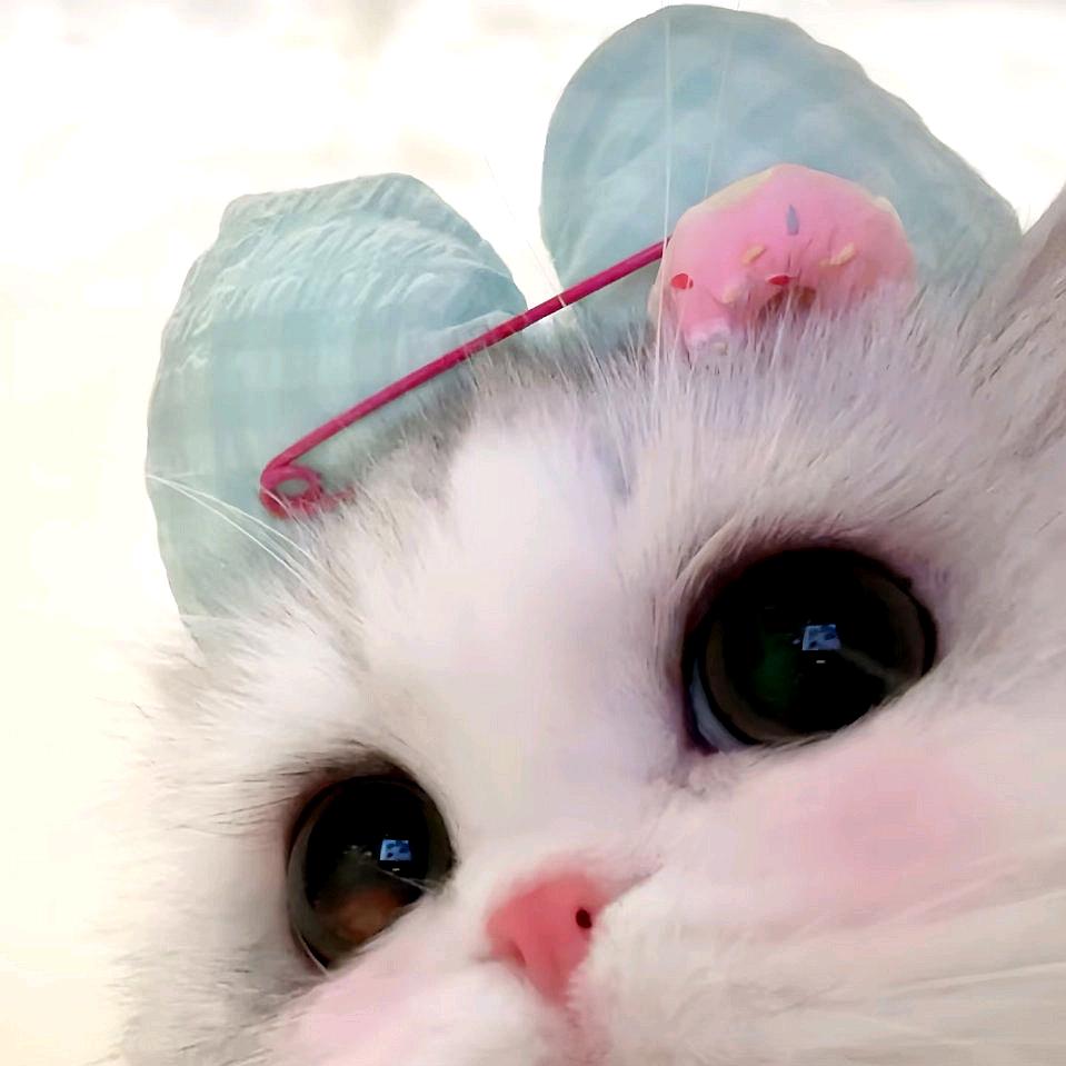 Super'🥕加贝亚🥥.🍿