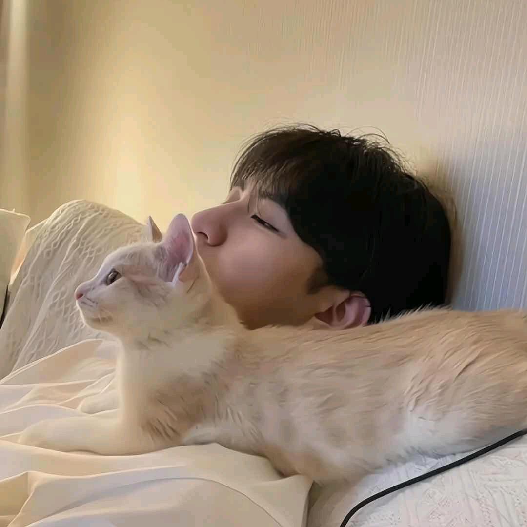 🏸小折耳根🏸