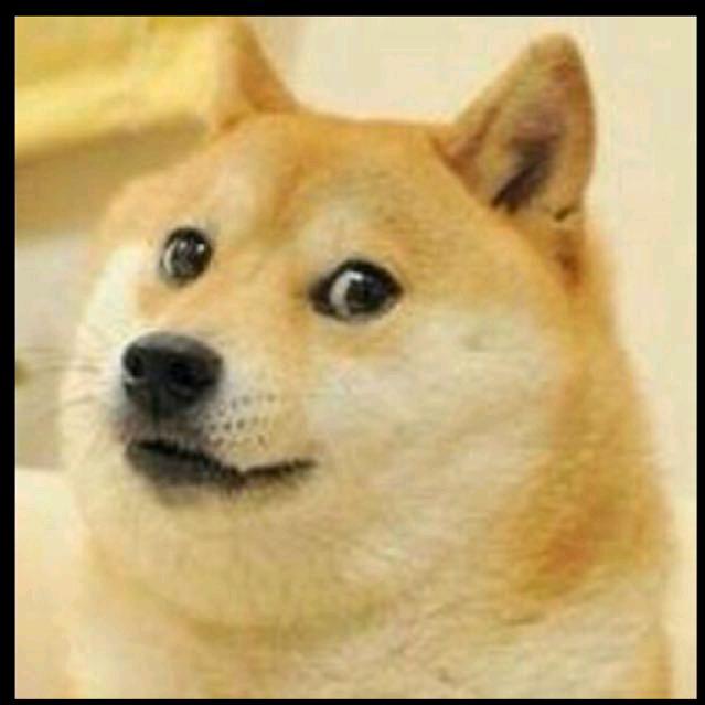 牵着蚂蚁去散步☞