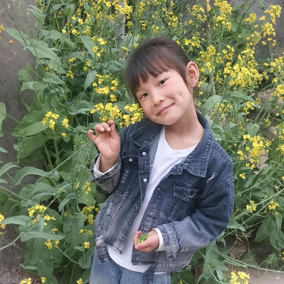 车改琴