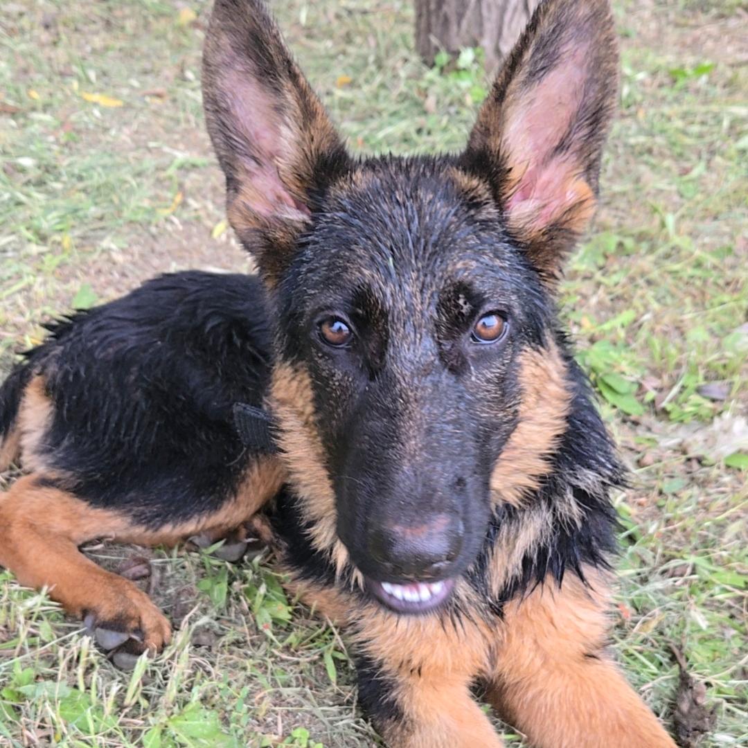 五指山
