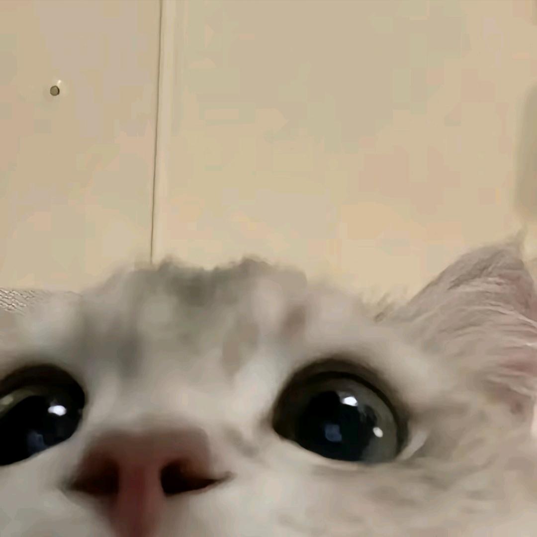 ys.