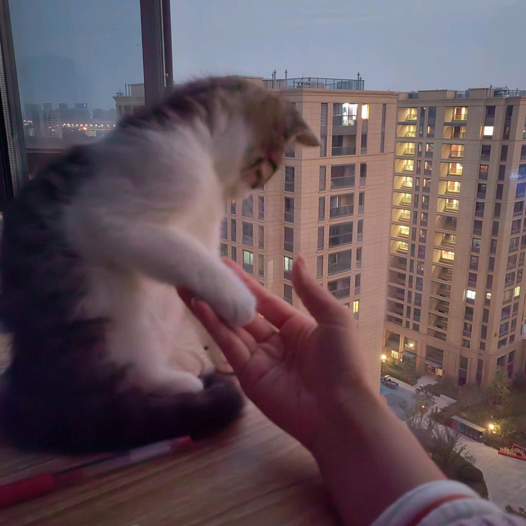 红红火火🐑⋆͛ᵞᵐ