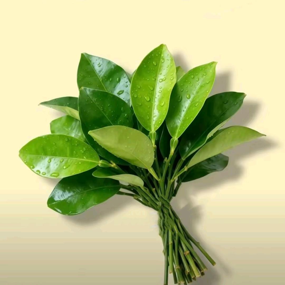 ~  今夕🎐 何夕