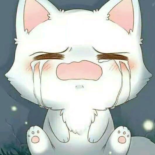 那些地方