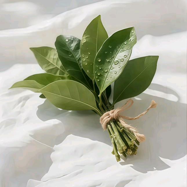 爱吃鱼的林同学