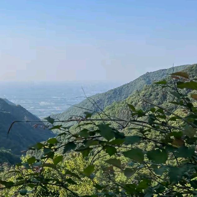 小黑丶快跑  丶✔️