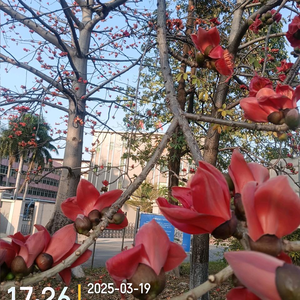 刘哥搬家，货车出租！