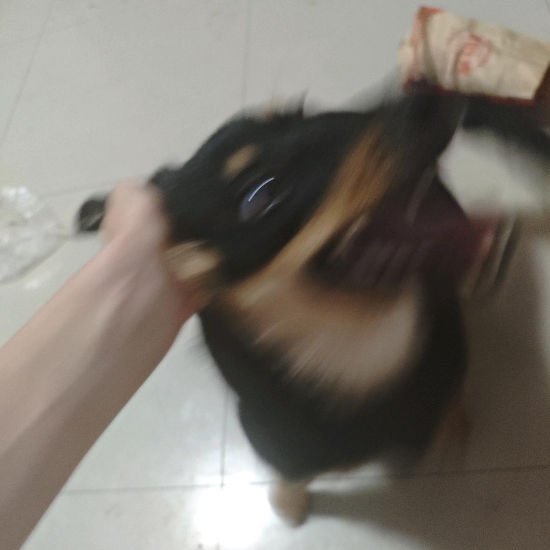 吾天