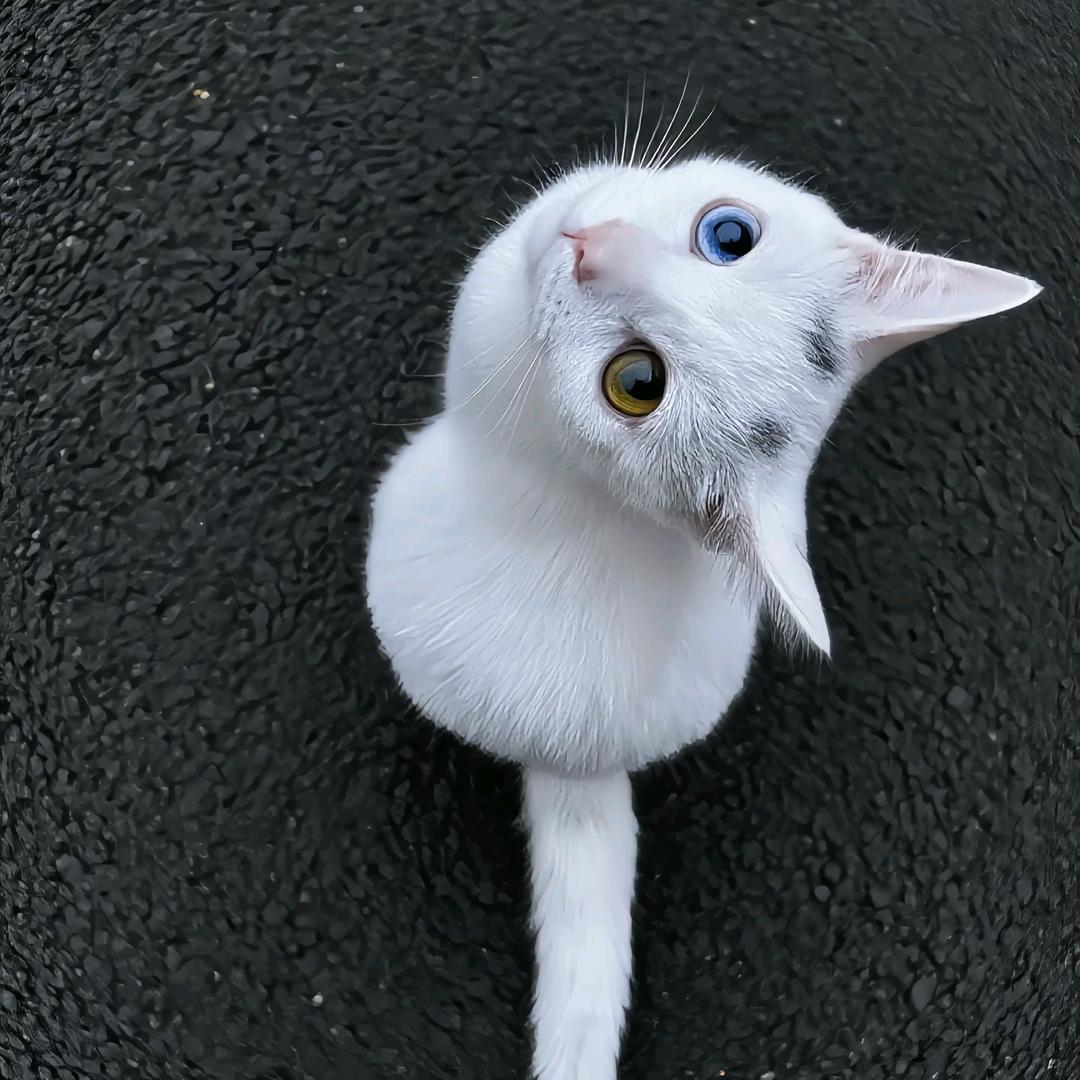 蜡笔大💗💗