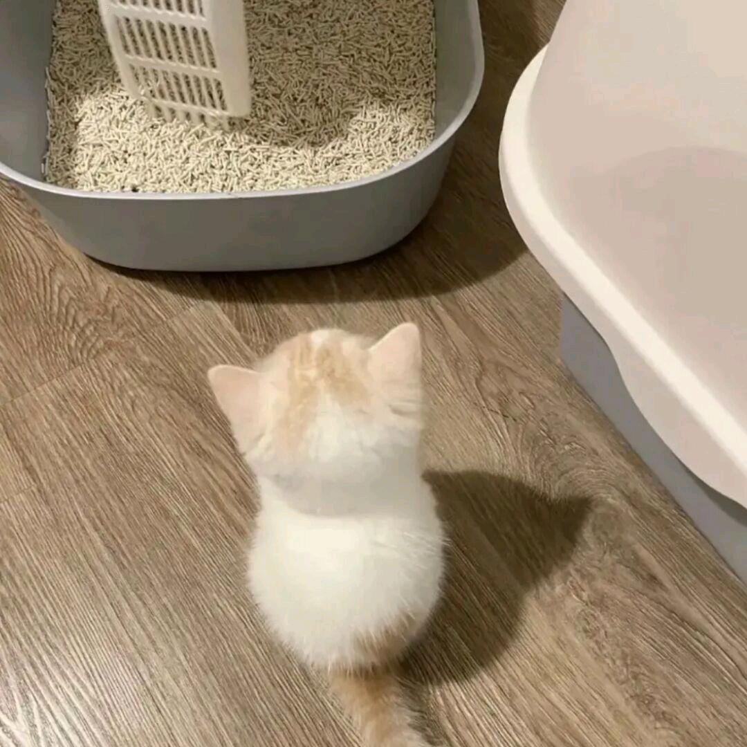 其实感情最怕的就是拖着