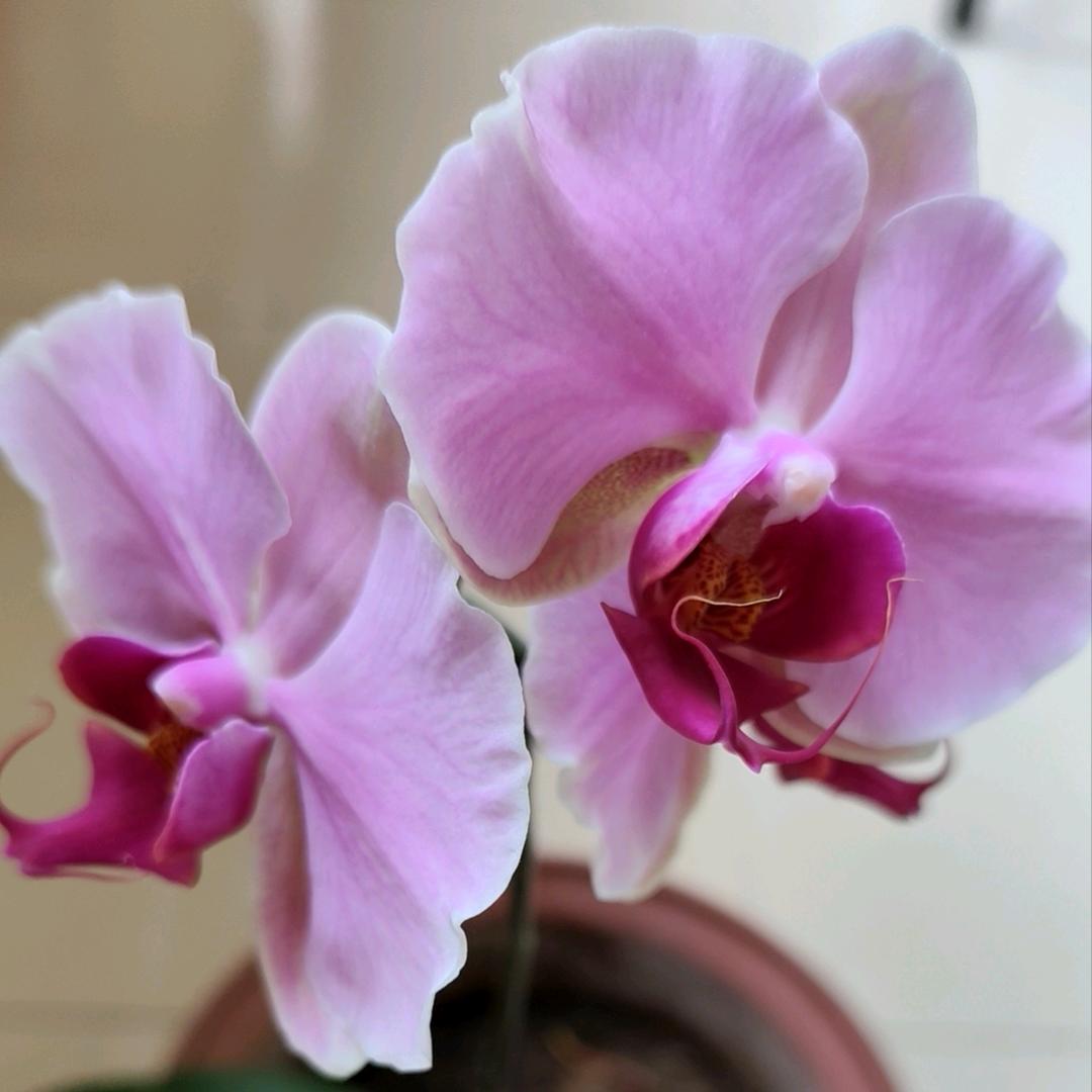 上善若水，水善利万物而不争