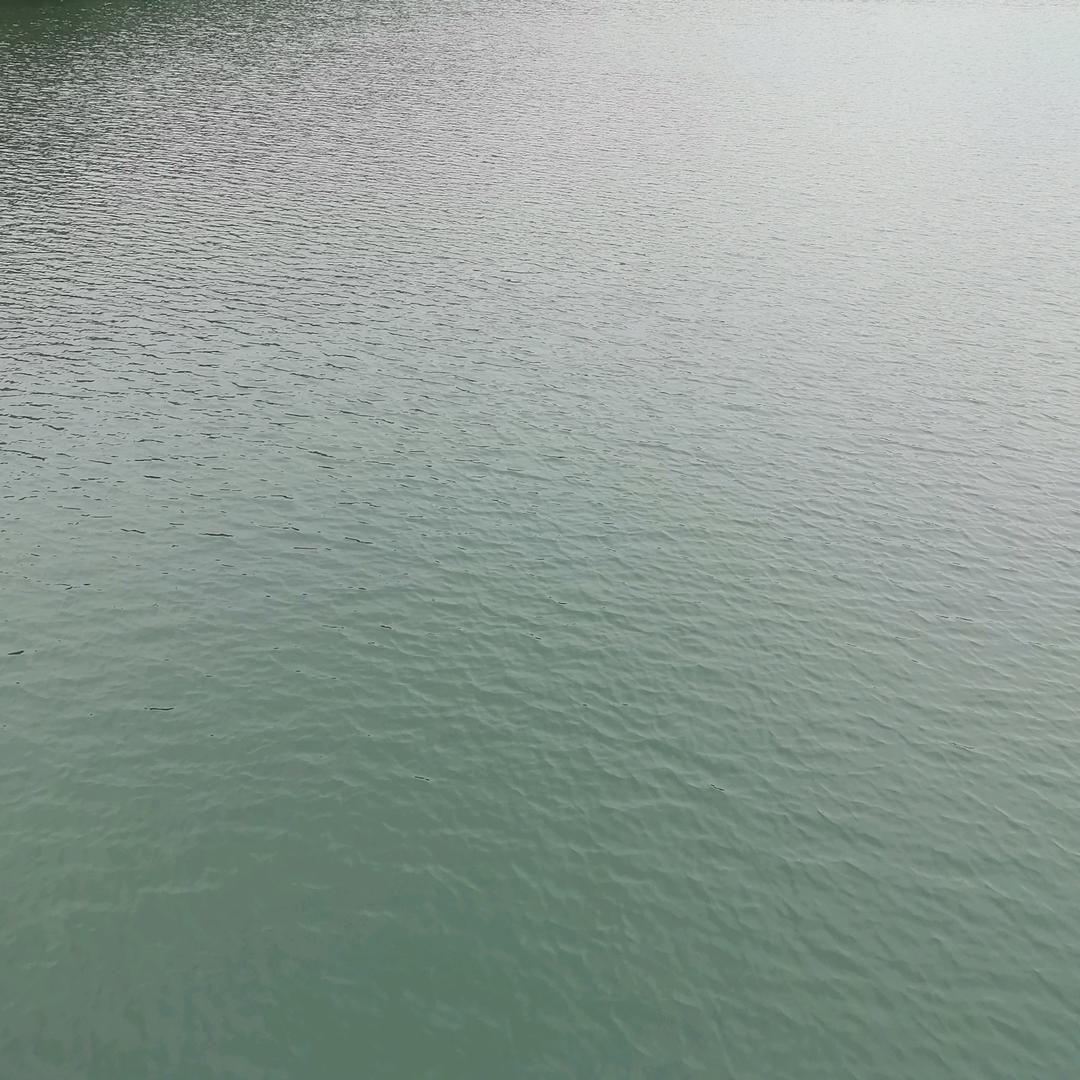 强旺仔