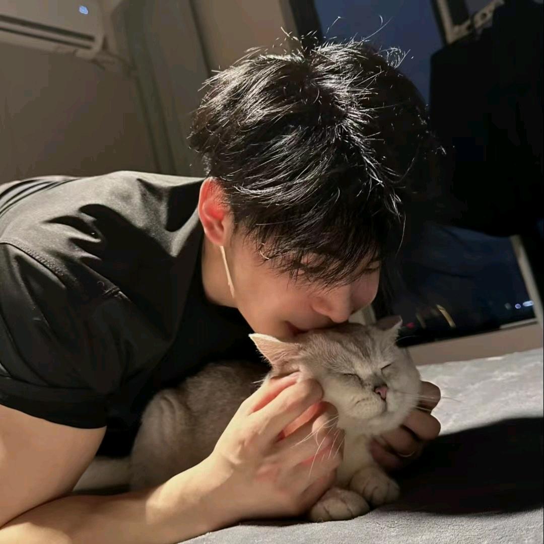 七猫🐈