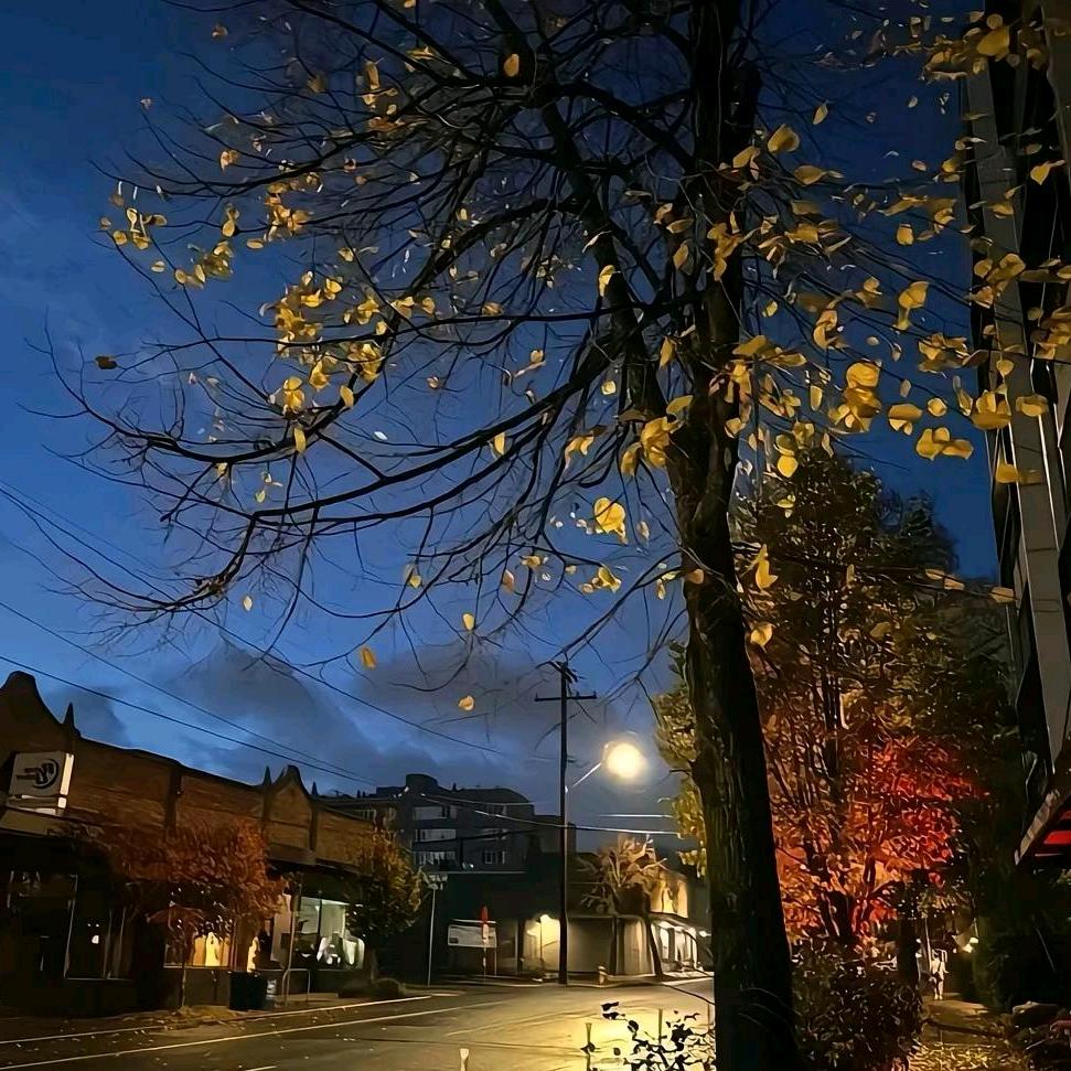 🌹遇见你是我一生的幸福。💋