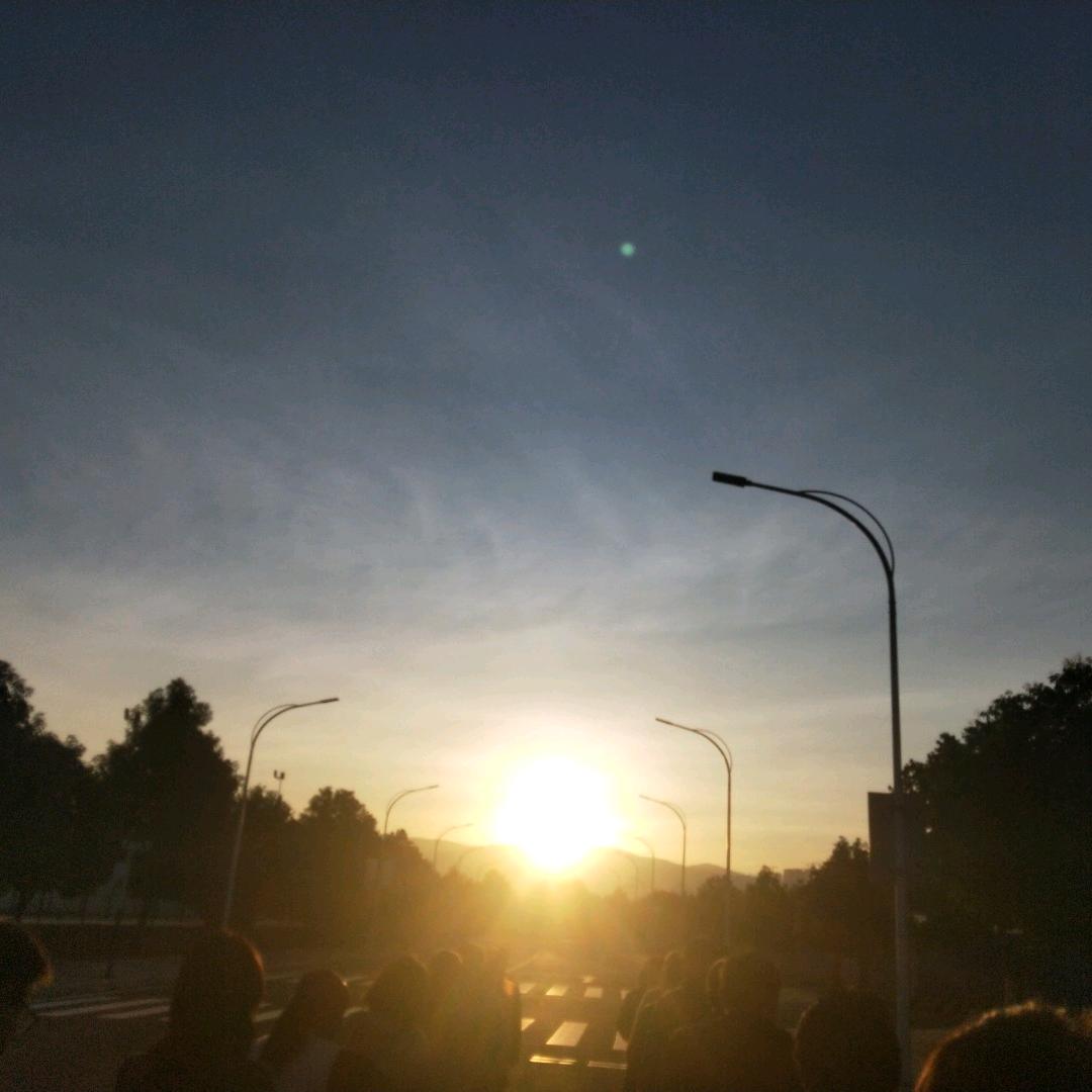 水漂苗育苗基地丨🍀云D绿航漂苗