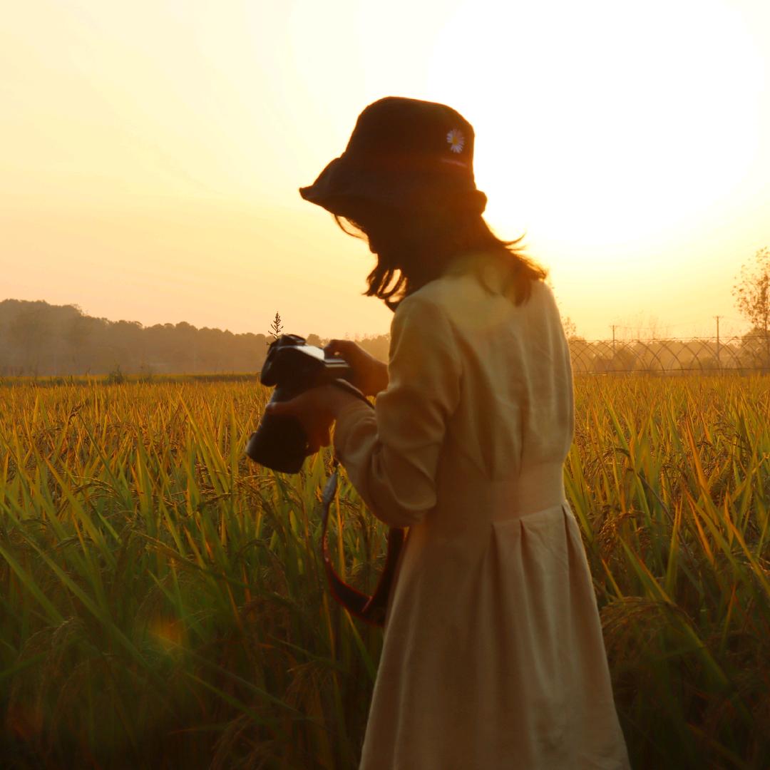 白天加油，晚上发疯