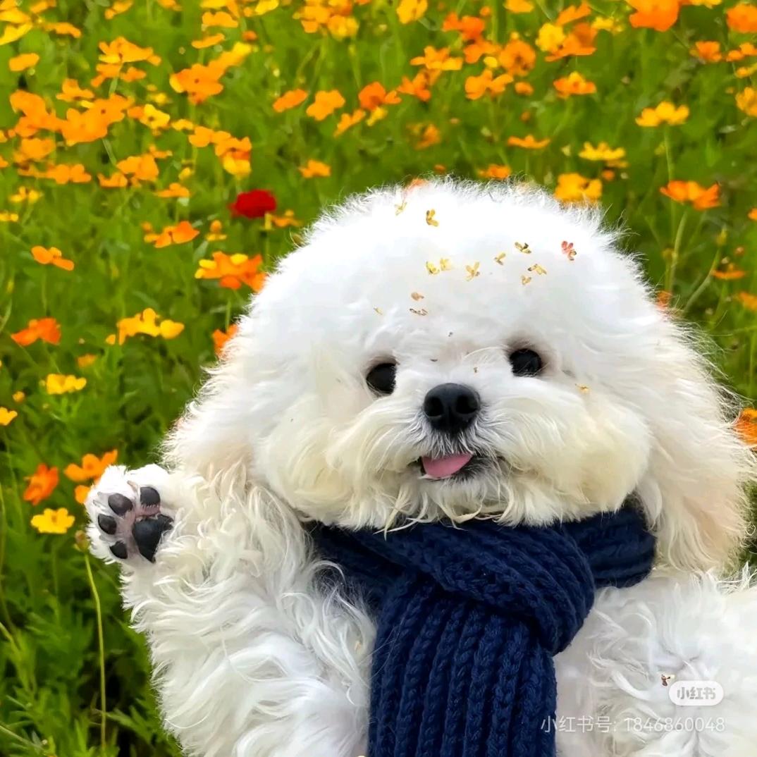 磊哥46