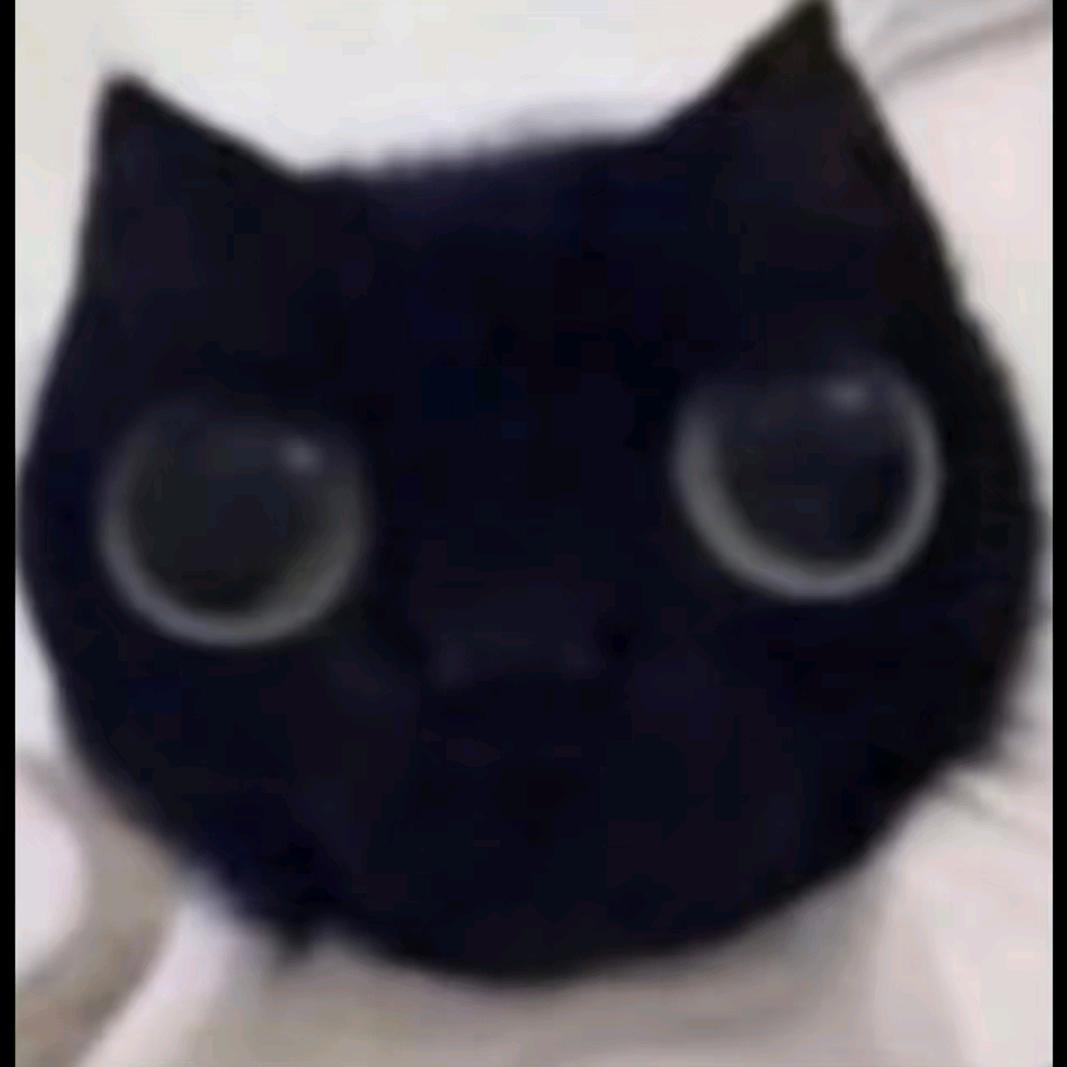 蛋蛋