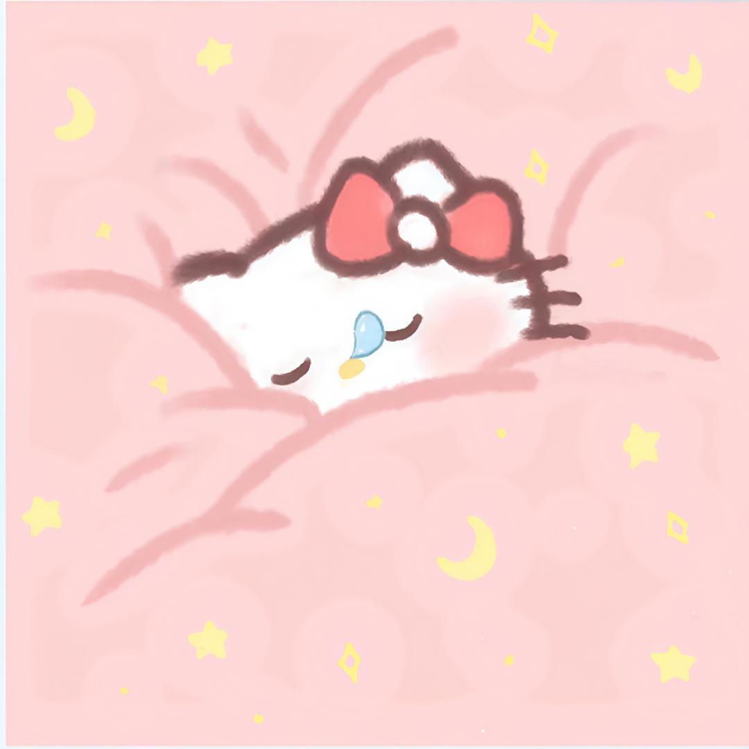 别惹小猫