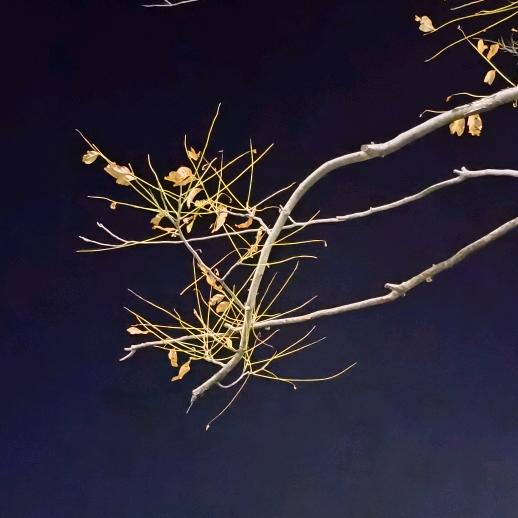 隔着屏幕,我不怕你