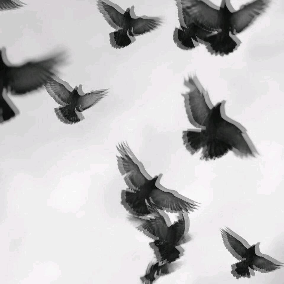 晓宇