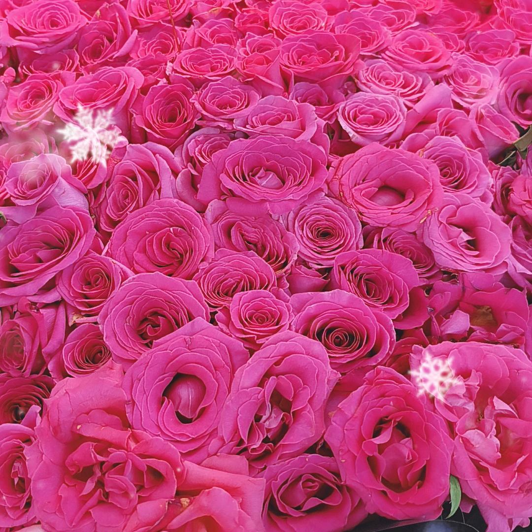 🕊এ᭄心心꧔ꦿ᭄相印💞²⁰²³