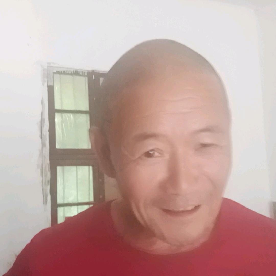 不老松