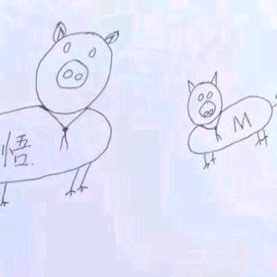 两只小猪猪