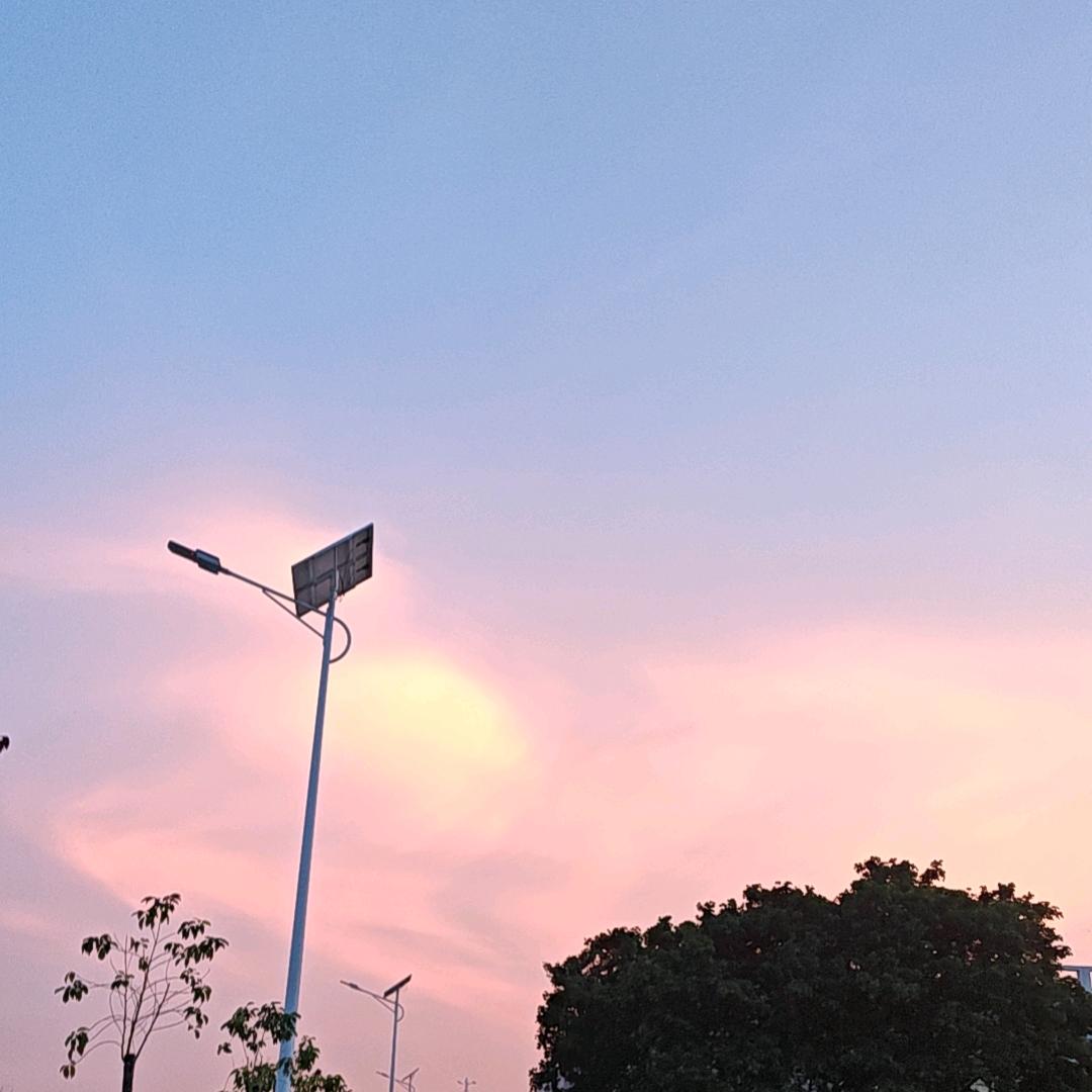 我是土豆