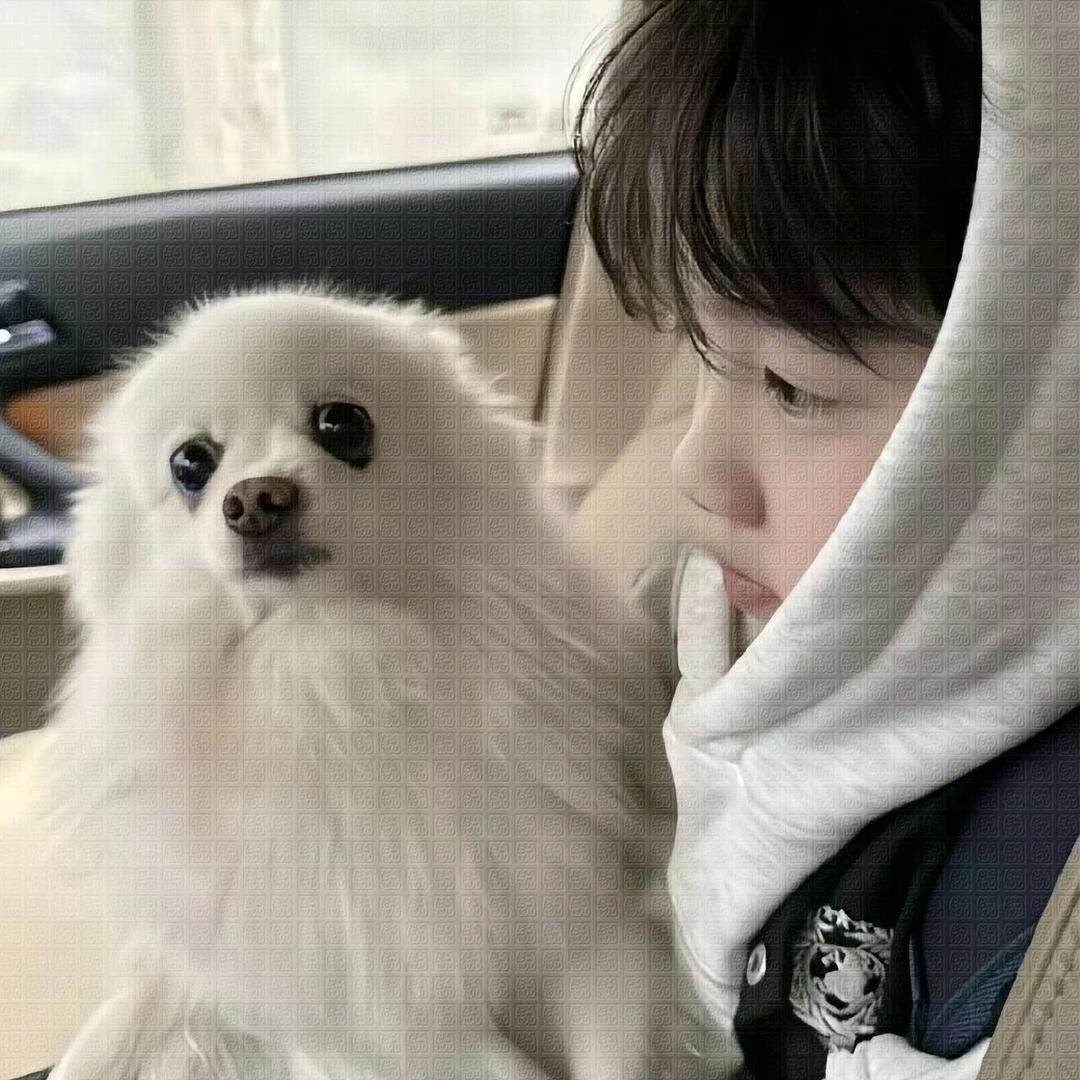 下次不要挂科啦