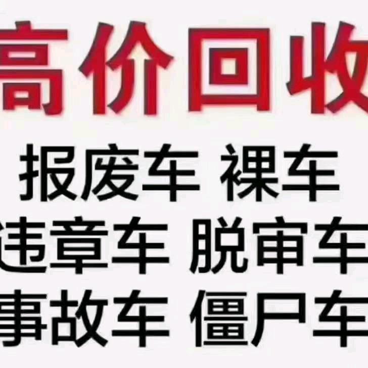 董哥哥