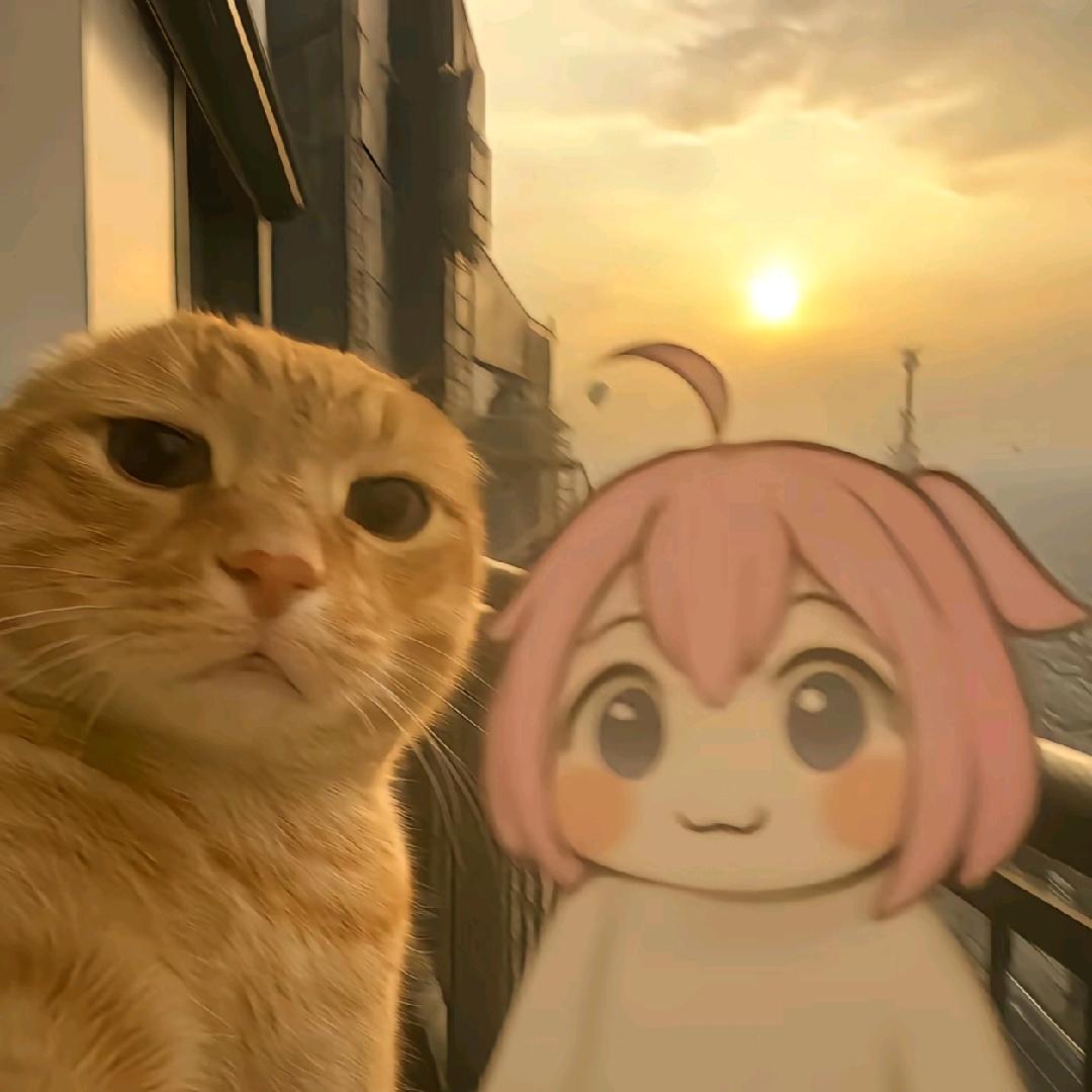 -阳