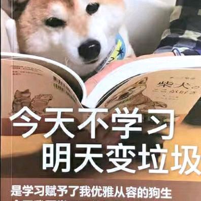 (・∀・)