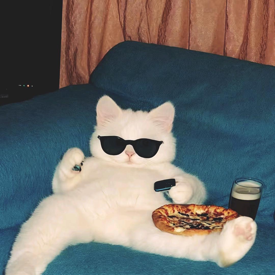 赵财猫
